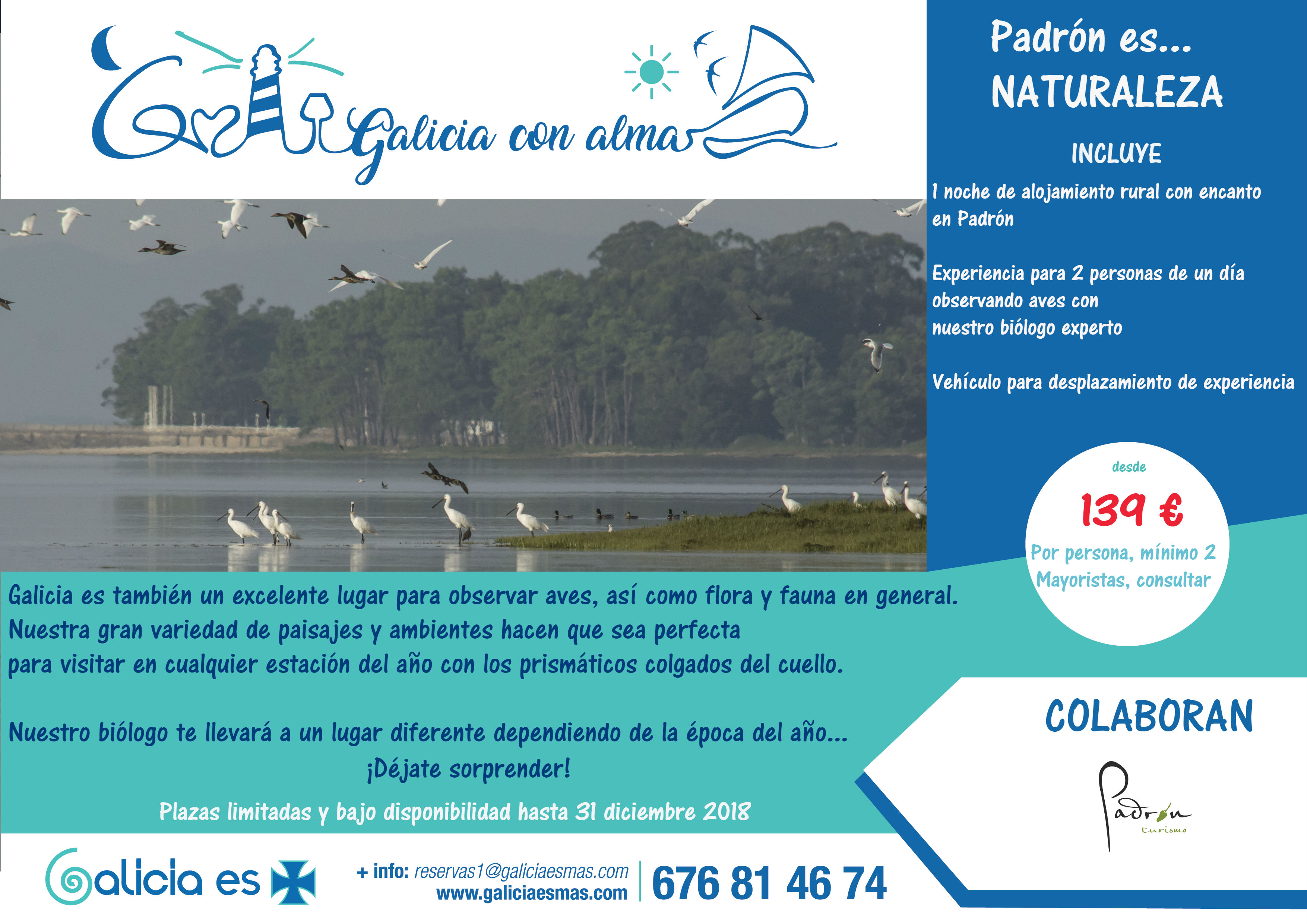 birding-galicia